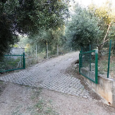 Il Veliero Con Giardino