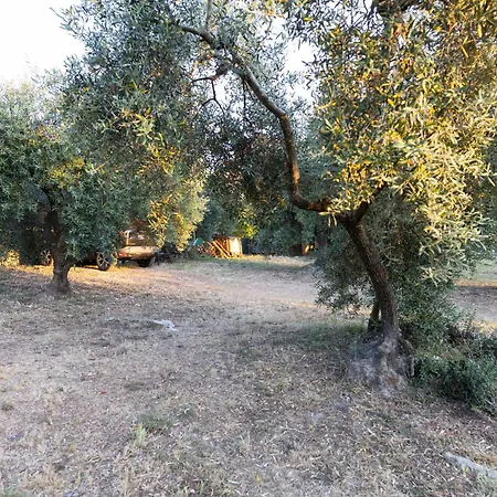Il Veliero Con Giardino Apartment