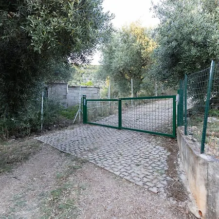 Il Veliero Con Giardino